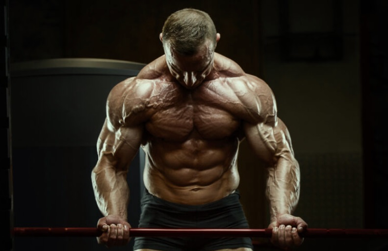 Anadrol stacki – sprawdzone połączenia na szybkie efekty i maksymalny przyrost masy