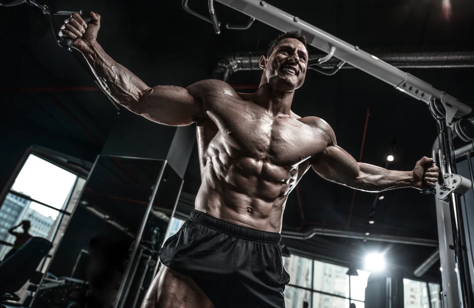 Mk 677 efekty działania: masa mięśniowa vs siła, tkanka tłuszczowa, regeneracja